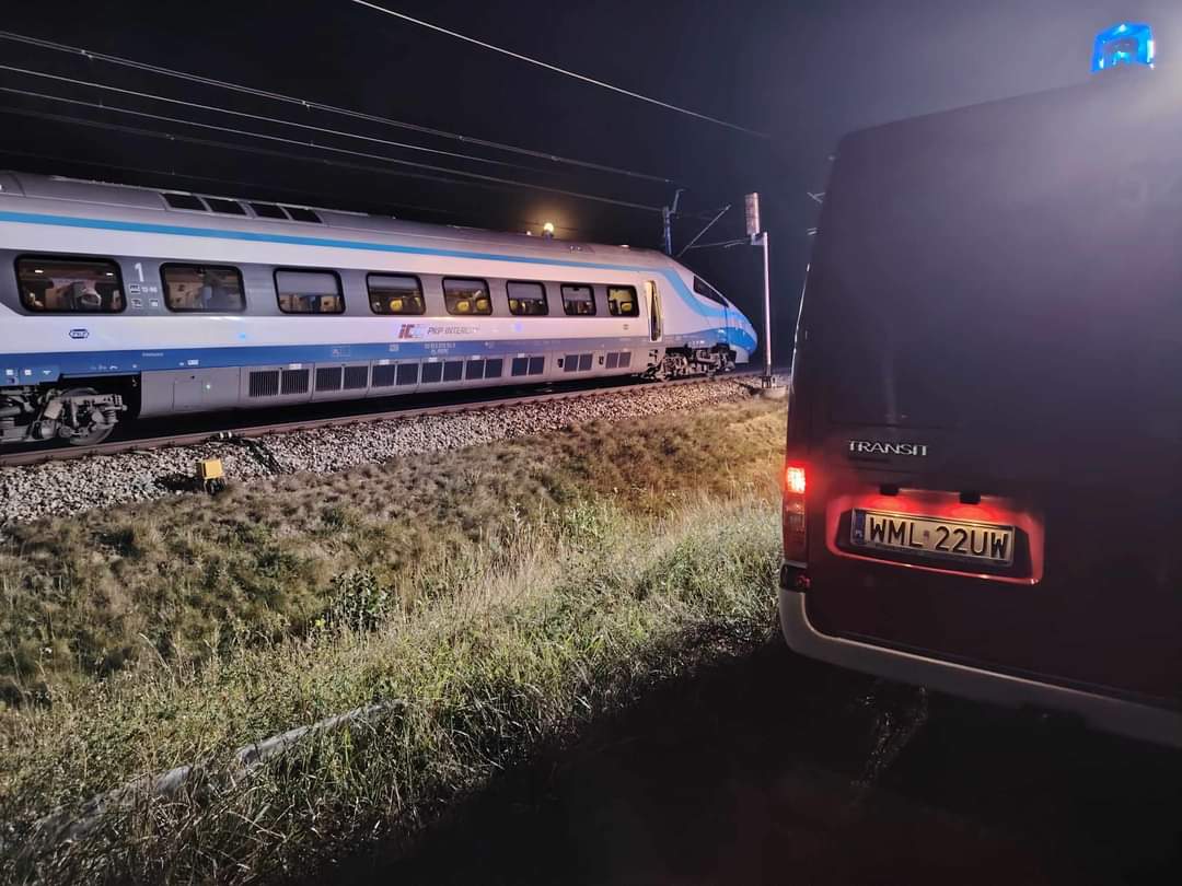 Łoś pod kołami Pendolino. Ewakuowano pasażerów pociągu