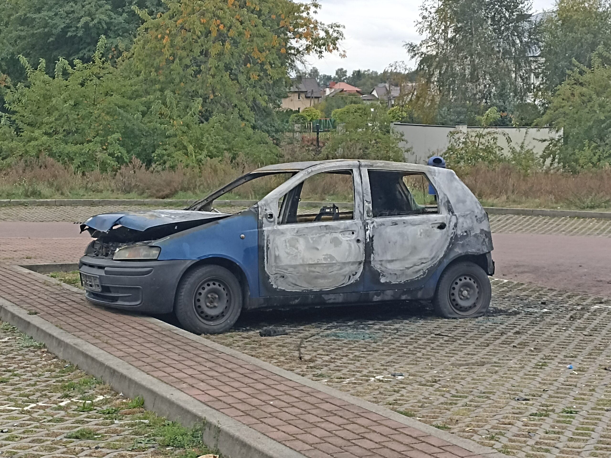 Na parkingu pod lasem spłonęło auto