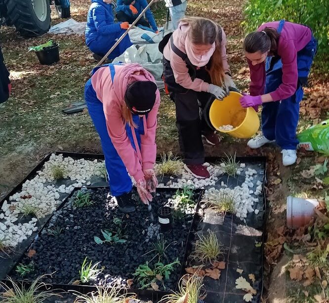 Mława będzie miała ogrody deszczowe