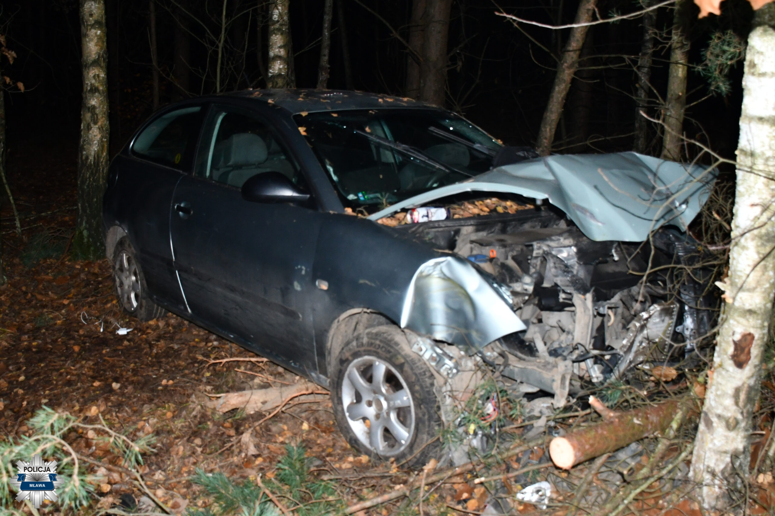 Seat wbił się w drzewo. Kierująca pojazdem była pijana