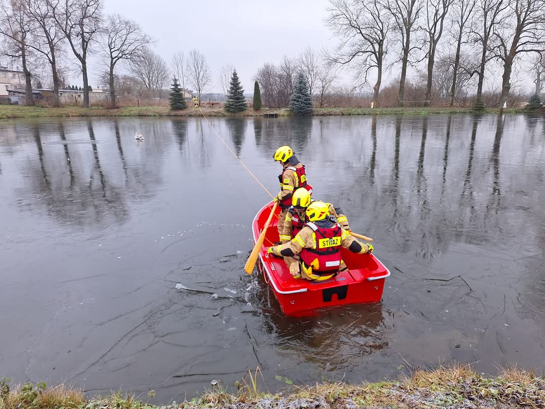 Druhowie z OSP Lipowiec Kościelny uratowali łabędzia