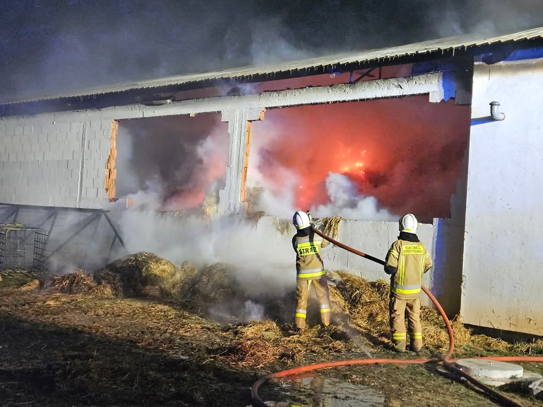 Pożar fermy drobiu pod Mdzewkiem [ZDJĘCIA, FILMY]