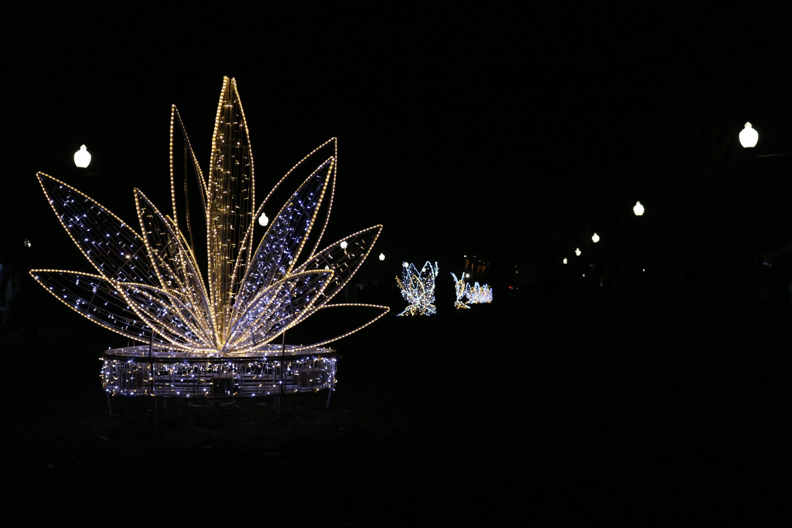 Remont oświetlenia w parku. Możliwe przerwy w działaniu