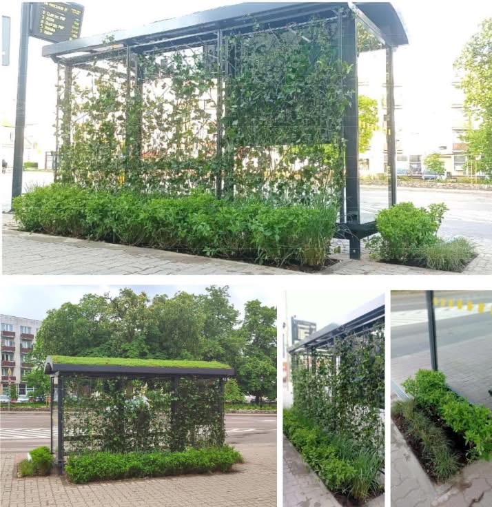 Rusza budowa dwóch wiat przystankowych przy ul. Stary Rynek oraz ul. Mariackiej