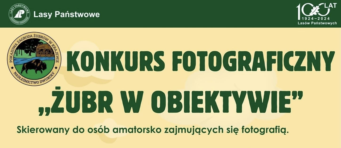 „Żubr w obiektywie” – konkurs fotograficzny dla pasjonatów natury