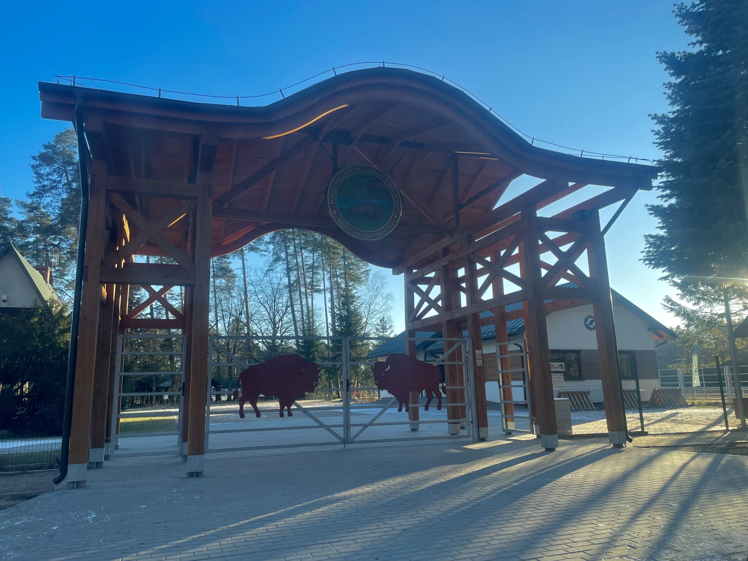 Komunikat dla odwiedzających Pokazową Zagrodę Żubrów w Mławie. Chodzi o bezpieczeństwo zwierząt