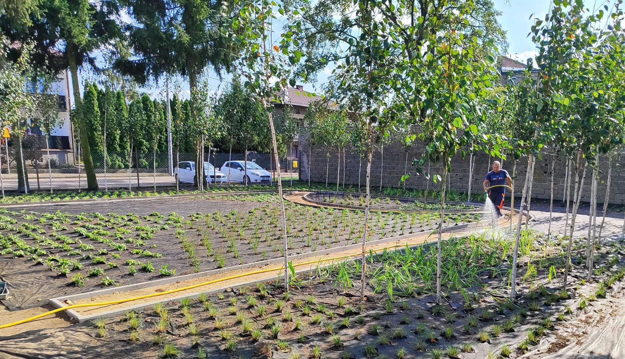 Mławskie placówki oświatowe zyskują nową, zieloną przestrzeń!